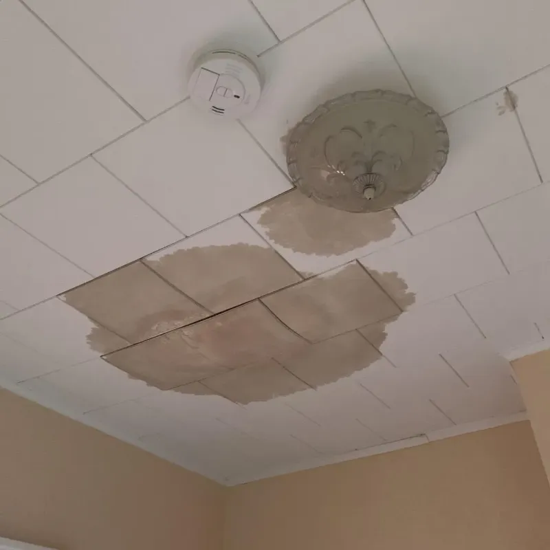 Ceiling Water Damage Repair in Ottumwa, IA