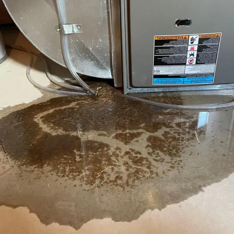 Pipe Burst and Leak Restoration in Ottumwa, IA